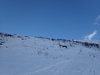ghhanssen_20220226_621a448deec3f.jpg