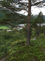ghhanssen_20220226_621a45a0ae289.jpg