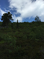 ghhanssen_20220226_621a45a2b2a7e.jpg
