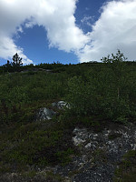 ghhanssen_20220226_621a45a5f06c6.jpg
