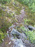 ghhanssen_20220226_621a45a83e75a.jpg