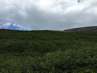 ghhanssen_20220226_621a45ac41a8c.jpg