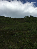 ghhanssen_20220226_621a45b6cb4b3.jpg