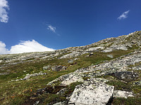 ghhanssen_20220226_621a45c587851.jpg