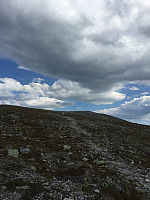 ghhanssen_20220226_621a45cf3b392.jpg