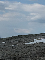 ghhanssen_20220226_621a45d8c9e98.jpg