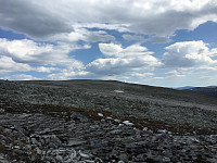 ghhanssen_20220226_621a45da3b644.jpg