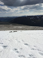 ghhanssen_20220226_621a45f6a83af.jpg