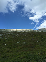ghhanssen_20220226_621a46064086a.jpg