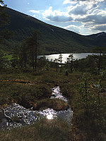 ghhanssen_20220226_621a461084642.jpg