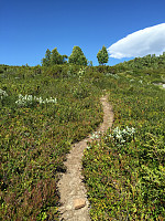 ghhanssen_20220226_621a4778b3d9a.jpg