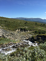 ghhanssen_20220226_621a477f4919f.jpg