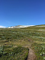 ghhanssen_20220226_621a47877c370.jpg