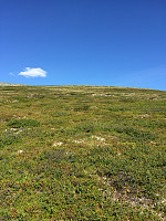 ghhanssen_20220226_621a478d71f5e.jpg