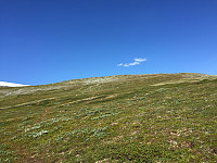 ghhanssen_20220226_621a4791a00ce.jpg