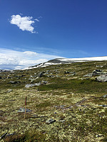 ghhanssen_20220226_621a47980367f.jpg