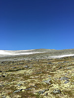 ghhanssen_20220226_621a479a1d8a4.jpg