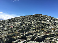 ghhanssen_20220226_621a479e77959.jpg