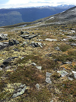 ghhanssen_20220226_621a47bd73ff1.jpg