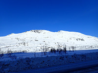 ghhanssen_20220226_621a4b15357a7.jpg
