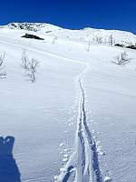 ghhanssen_20220226_621a4b171f7c7.jpg
