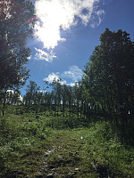 ghhanssen_20220226_621a4d9e34e1a.jpg