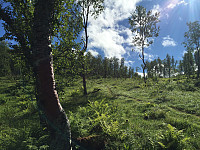 ghhanssen_20220226_621a4da304d6d.jpg