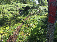 ghhanssen_20220226_621a4da5883a9.jpg