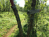 ghhanssen_20220226_621a4da7e87bc.jpg
