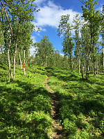 ghhanssen_20220226_621a4daa70280.jpg