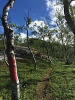 ghhanssen_20220226_621a4dace336f.jpg
