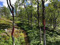 ghhanssen_20220226_621a4dbb6b823.jpg