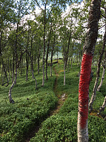 ghhanssen_20220226_621a4df2991d6.jpg