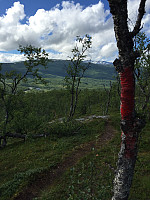 ghhanssen_20220226_621a4df70da20.jpg