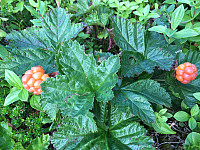 ghhanssen_20220226_621a4df912909.jpg