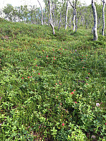 ghhanssen_20220226_621a4dfe5e8b0.jpg