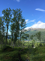 ghhanssen_20220226_621a4e00d286a.jpg