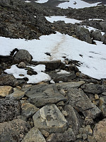 ghhanssen_20220226_621a514f16d38.jpg