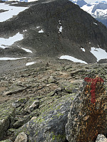 ghhanssen_20220226_621a518bc9d72.jpg