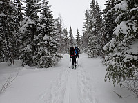 ghhanssen_20220301_621e0321dfe68.jpg
