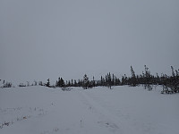 ghhanssen_20220301_621e032785555.jpg