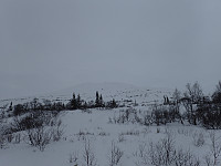 ghhanssen_20220301_621e032d0acaf.jpg