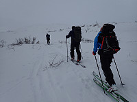 ghhanssen_20220301_621e032ebc398.jpg