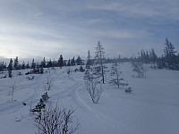 ghhanssen_20220301_621e03587a405.jpg