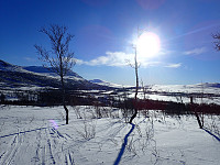 ghhanssen_20220301_621e1356a3c48.jpg