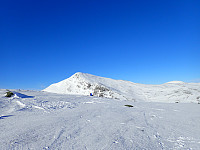 ghhanssen_20220301_621e138587a90.jpg