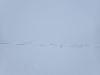 ghhanssen_20220301_621e16c997ac9.jpg