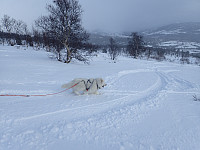 ghhanssen_20220301_621e170ece79a.jpg