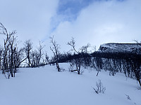 ghhanssen_20220301_621e1bfecf0de.jpg