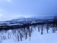 ghhanssen_20220301_621e1c00c4d68.jpg